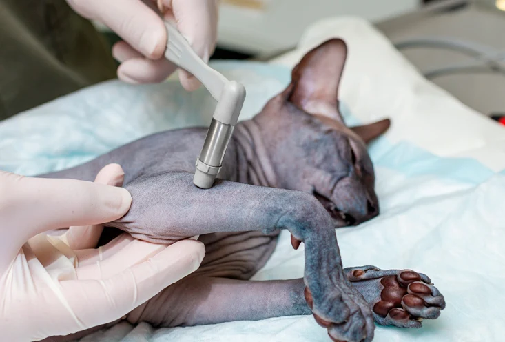 Ортопедия и неврология - фото1