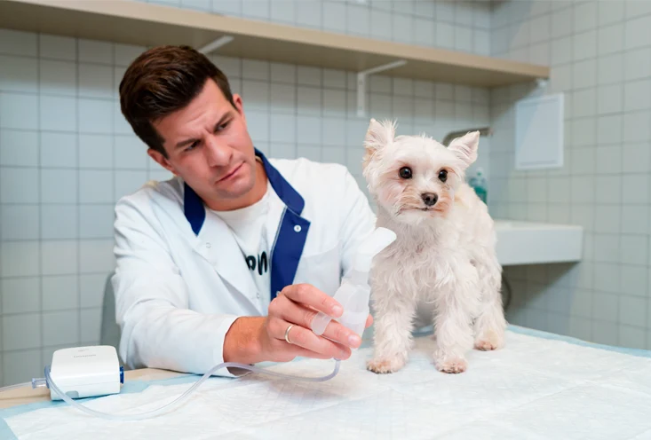 Реабилитация - фото 1