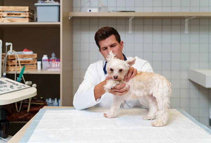 Массаж - фото1
