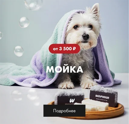 Шарики услуга мойка