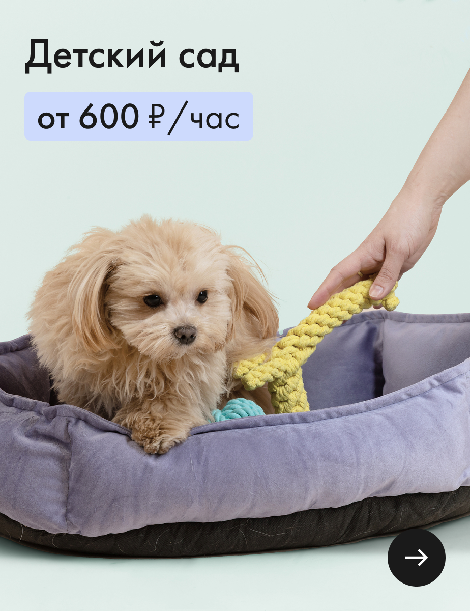 Баннер в меню
