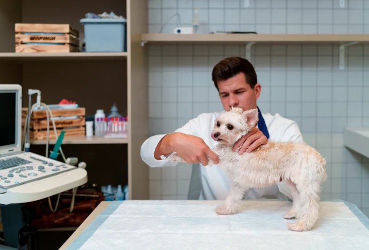 Остеопатия - фото 1