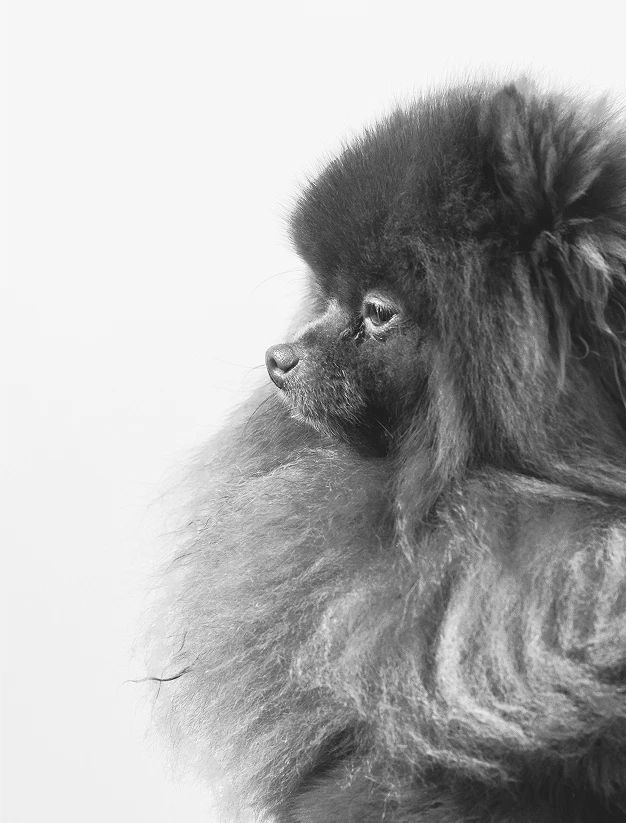 Политика в отношении обработки персональных данных