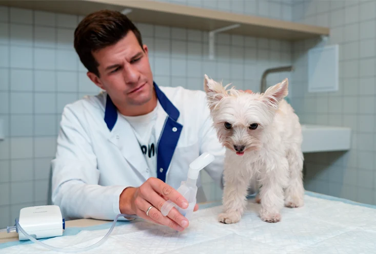 Реабилитация - фото 3