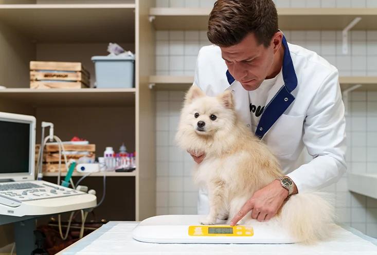 Общая терапия - фото2