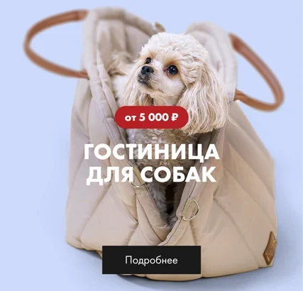 гостиница для собак