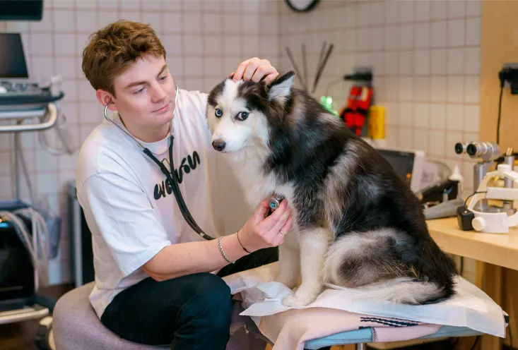 Пульмонология - фото3