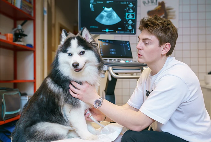 Чек-ап - фото1