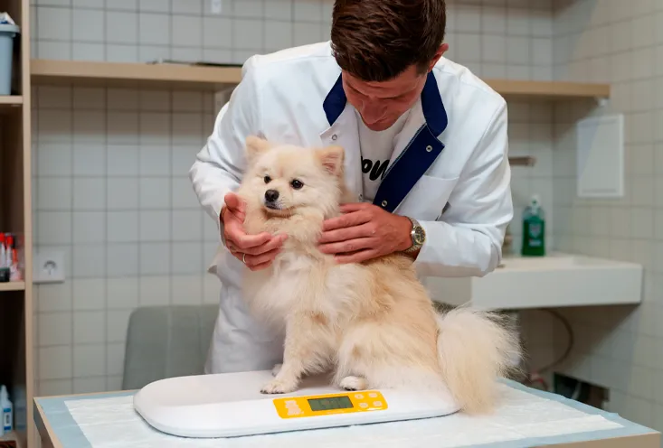 Гастроэнтерология - Фото1