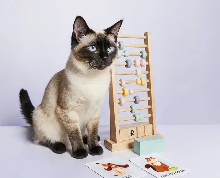 Полный перечень и стоимость всех услуг зооцентра