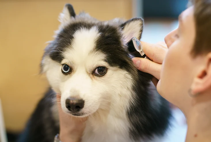 Общая терапия - фото3