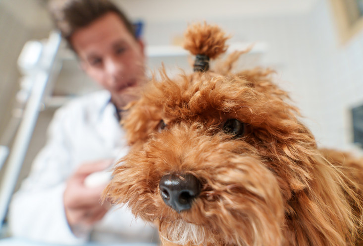 Зашить рану - фото4