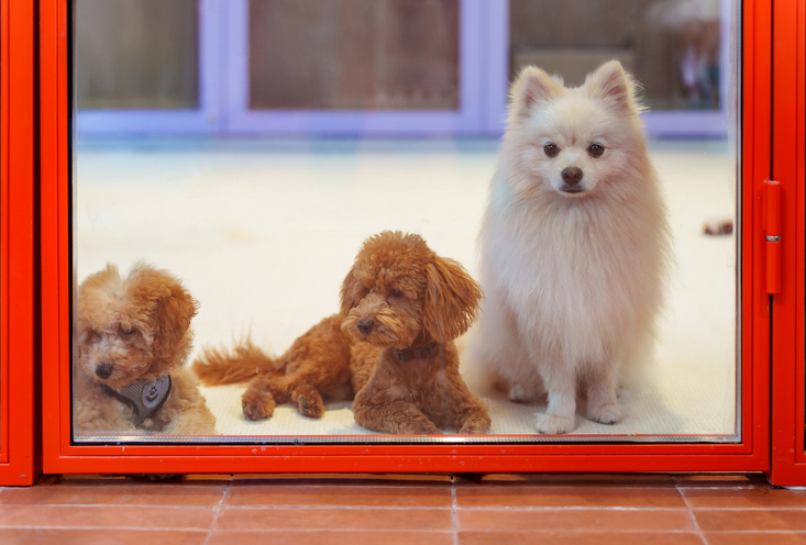 детский сад - фото6