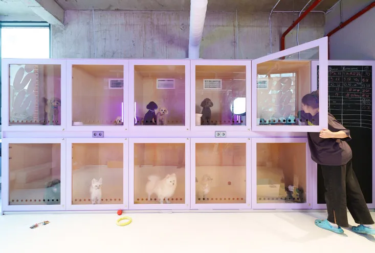 Гостиница для собак - фото2