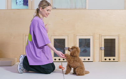 Блог - статья4