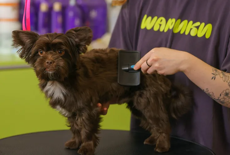 Комплексная стрижка - фото5