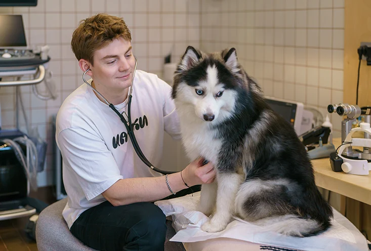 Общая терапия - фото1