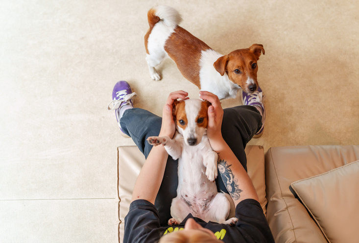 детский сад - фото3