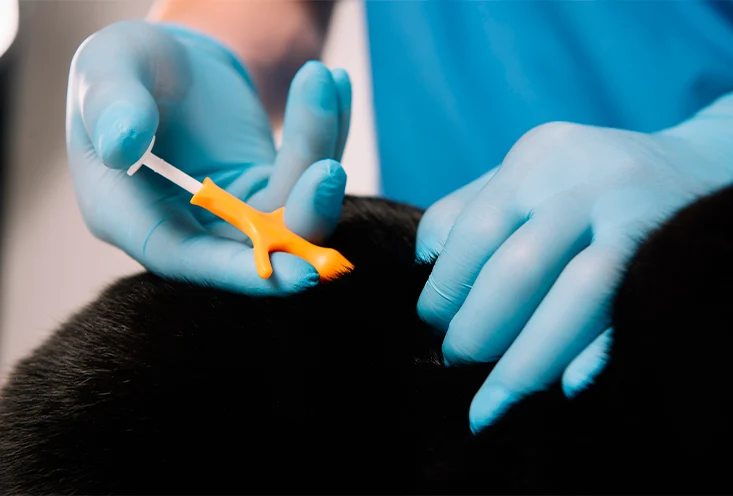 Чипирование - фото1