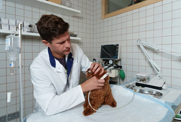 Ультразвуковая чистка - фото3