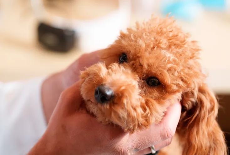 Остеопатия - фото2