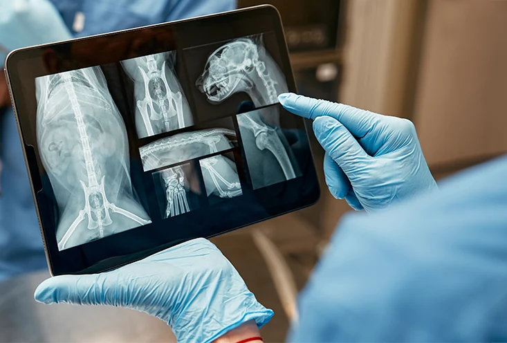 Рентген - фото2