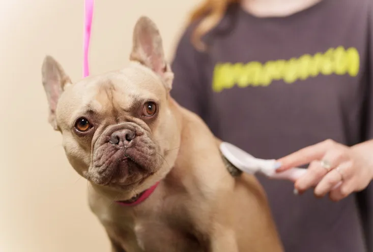 Гигиеническая мойка - фото1