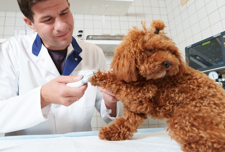 Зашить рану - фото2