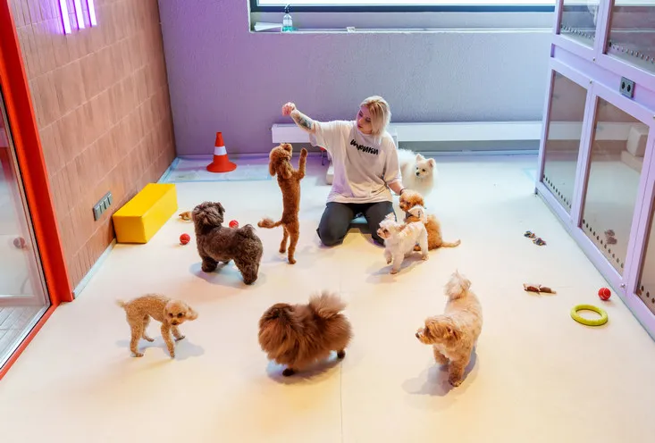 Гостиница для собак - фото6