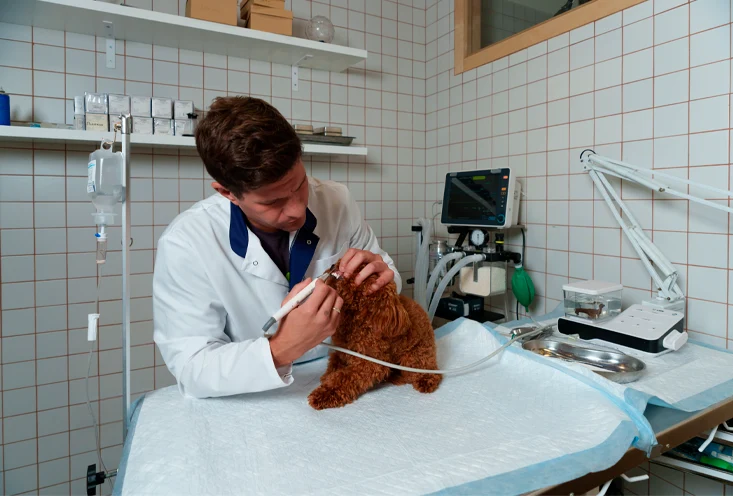 Механическая чистка - фото2