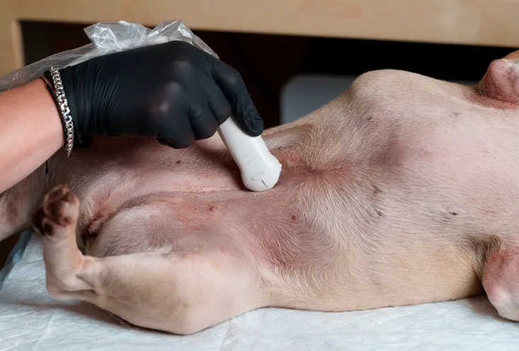 Нефрология и урология - фото1