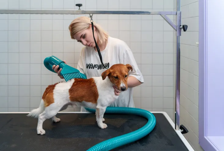 Комплексная стрижка - фото4