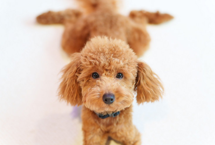 детский сад - фото5