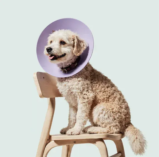 Абдоминальная хирургия