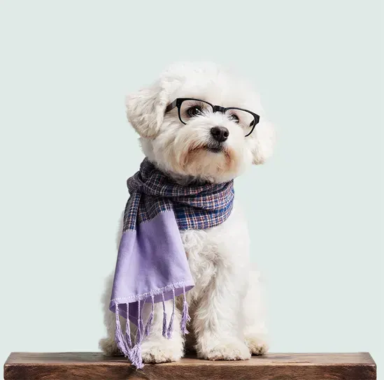 Общая хирургия