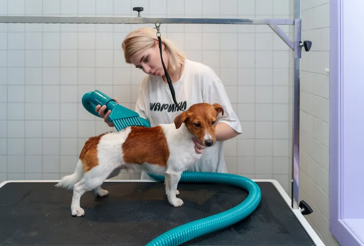 Гигиеническая мойка - фото5