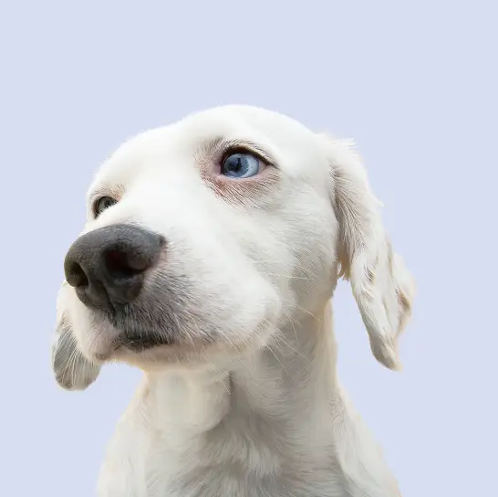 Паспорт здоровья