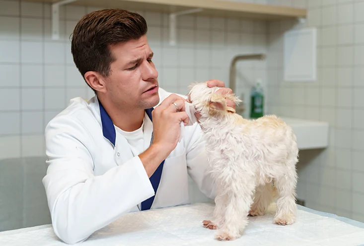 Дерматология - фото1