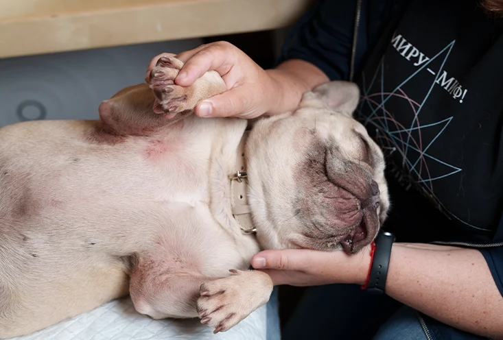 Дерматология - фото3