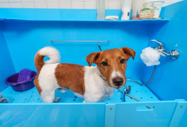 Гигиеническая мойка - фото3