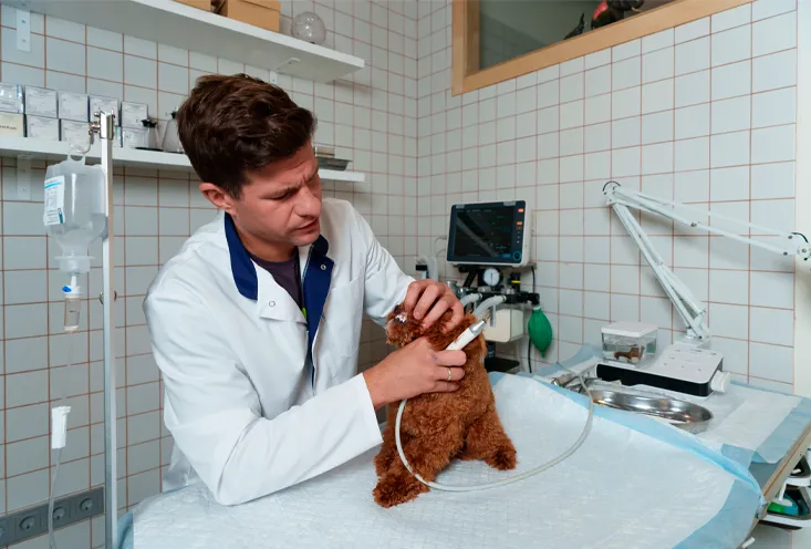 Полировка - фото3