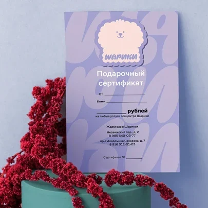 Подарочный сертификат Шариков
