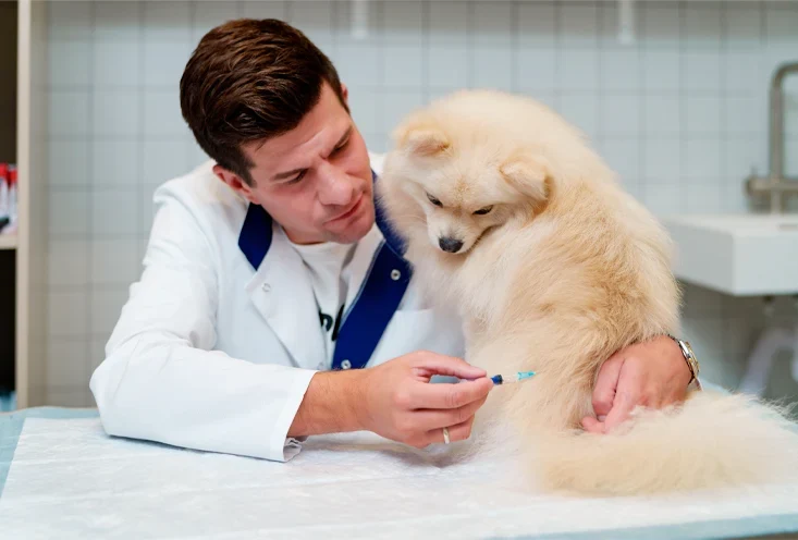 Вакцинация -- Шарики