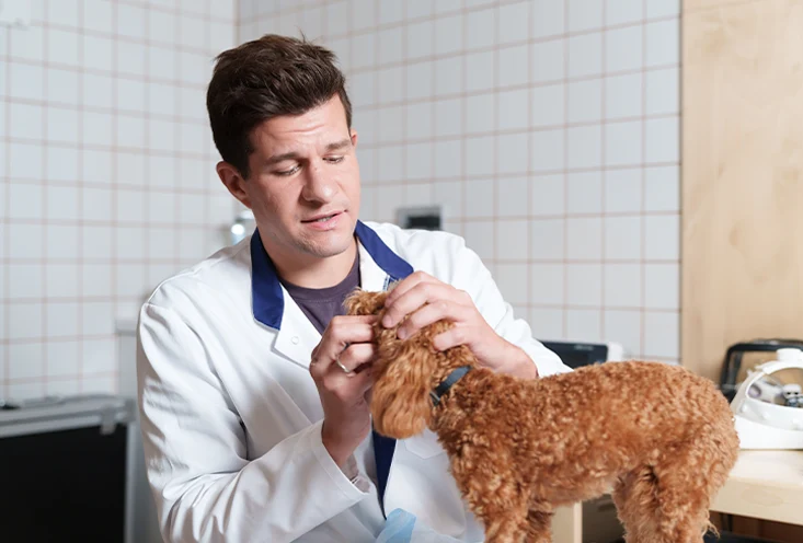 Чек-ап - фото3