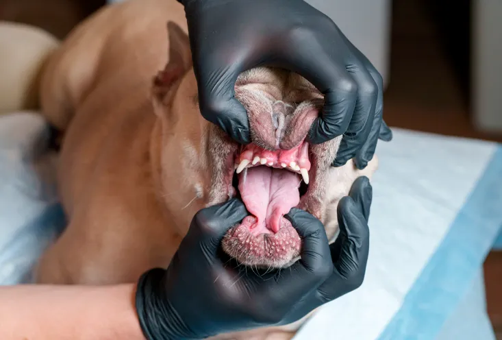 Полировка - фото2