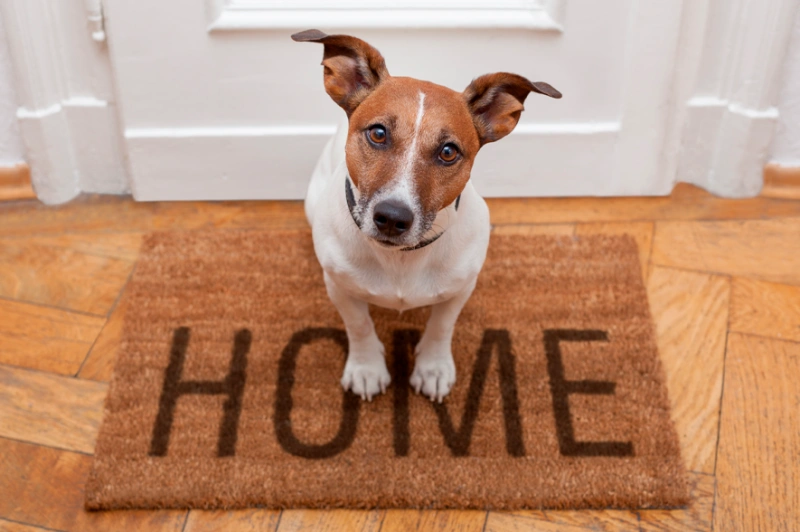 Блог - статья1