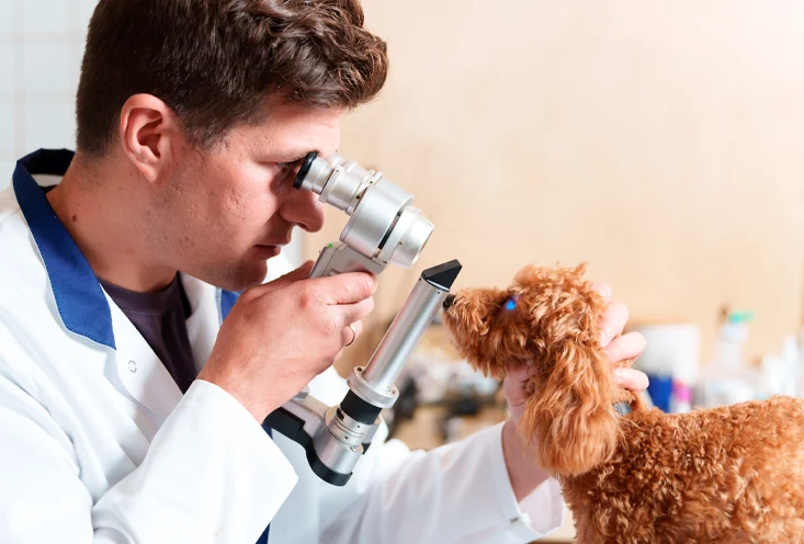 Офтальмология - фото3