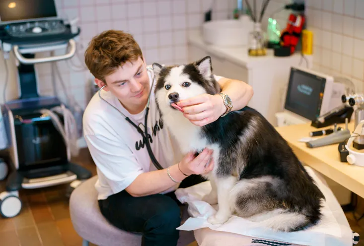 Пульмонология - фото2