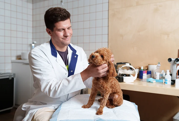 Массаж - фото2