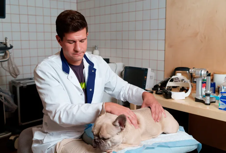 Нефрология и урология - фото2